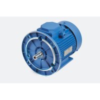 Электродвигатель МЭЗ АИР112МА8