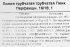 Лилия трубчатая трубчатая Пинк Перфекшн