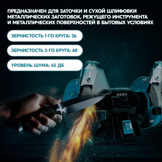 Станок точильный Oasis ZS-20, 200 Вт