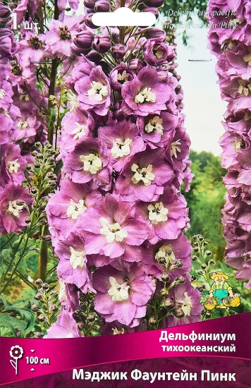 Дельфиниум тихоокеанский Мэджик Фаунтейн Пинк