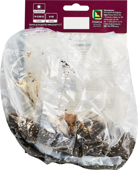 Дельфиниум тихоокеанский Мэджик Фаунтейн Пинк