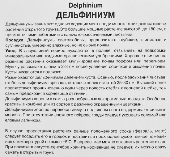 Дельфиниум тихоокеанский Мэджик Фаунтейн Пинк