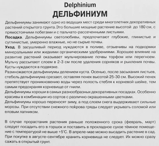 Дельфиниум тихоокеанский Мэджик Фаунтейн Пинк