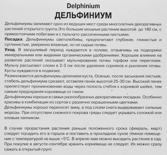 Дельфиниум высокий Арлекин