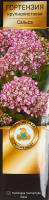 Гортензия крупнолистовая Сальса h100 см