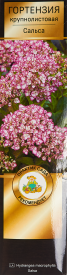 Гортензия крупнолистовая Сальса h100 см