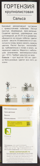 Гортензия крупнолистовая Сальса h100 см