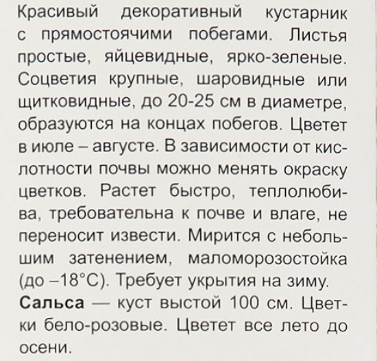 Гортензия крупнолистовая Сальса h100 см