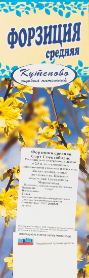 Форзиция Спектабилис в тубе Кутепово