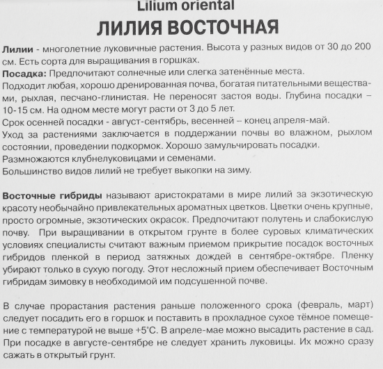 Лилия восточная Кристал Бланка 1 шт.