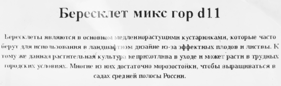 Бересклет микс горшок 11 см