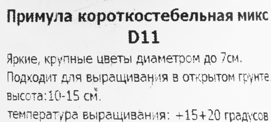 Примула Короткостебельная 11x15 см