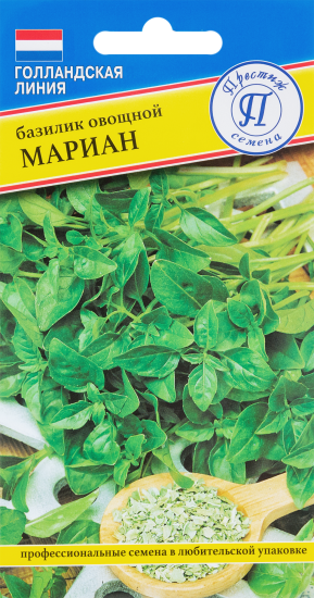 Семена Базилик овощной «Мариан»