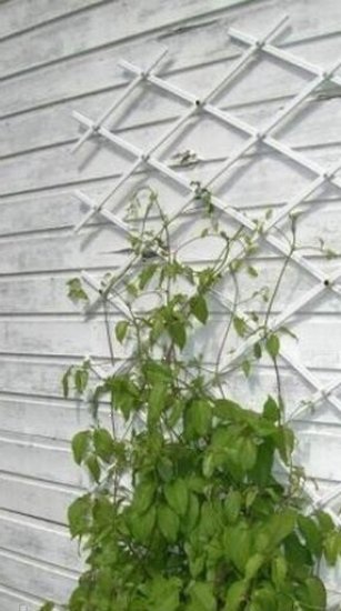 Шпалера для вьющихся растений 38x188 см