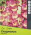 Гладиолус Фарвест луковицы 10/12, 5 шт.