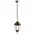 Светильник садово-парковый подвесной Arte Lamp Pegasus черно-золотой 170 мм E27 60 Вт IP44 (A3151SO-1BN)