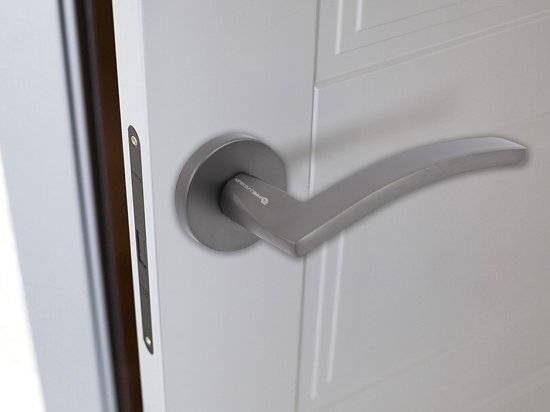 Дверные ручки Palladium Lavinium без запирания цвет графит