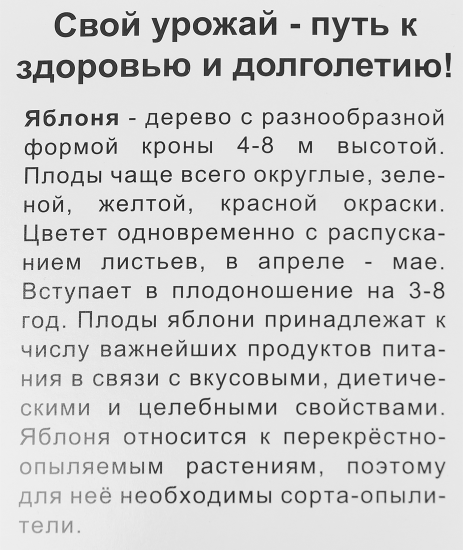 Яблоня карликовая Братчуд в тубе Поиск Инвест
