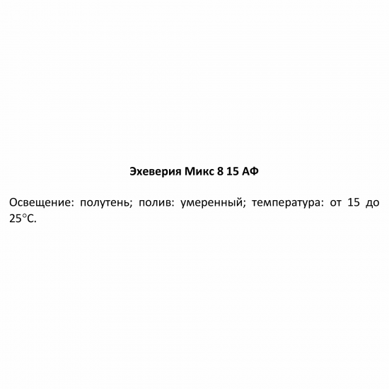 Эхеверия микс ø8 h15 см
