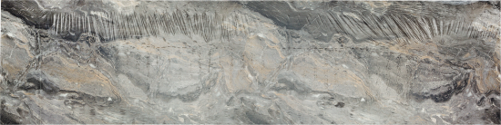 Стеновая панель Рашчер Delinia 300x0.6x60 см МДФ цвет серый