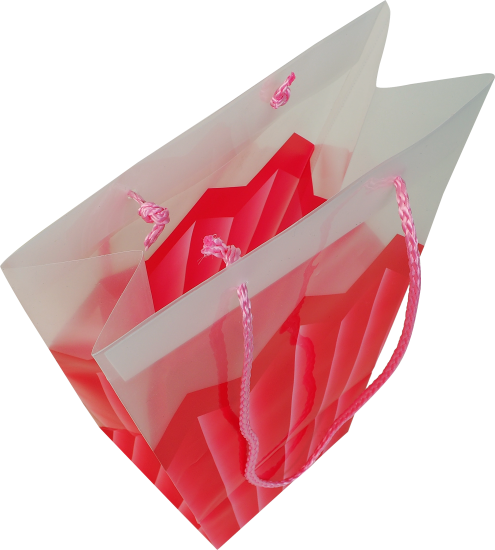 Сумка для цветов, 24x12x26 см