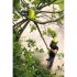 Аккумуляторный штанговый высоторез Ryobi ONE+ OPP1820