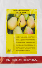 Груша Мраморная в тубе Поиск инвест