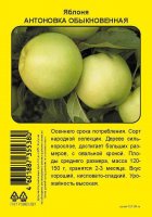 Яблоня Антоновка обыкновенная пакет h90 см