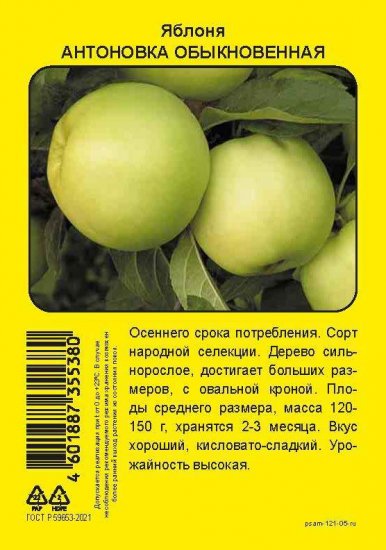 Яблоня Антоновка обыкновенная пакет h90 см