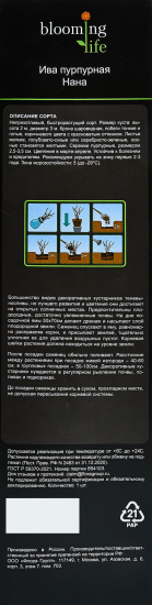 Ива микс ø9.2 h36 см