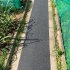 Тротуарная противоскользящая дорожка Alegria outdoor 5000x600x5 мм