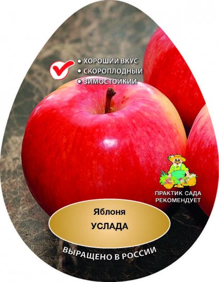 Яблоня Услада сетка h200 см