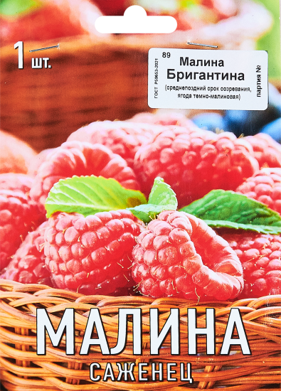 Малина Бригантина капер h10 см