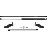 Упоры капота для Haval Jolion 2021-н.в. Rival A.ST.9403.1