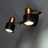 Спот поворотный Arte Lamp Almach 2 лампы GU10 6 м² цвет черный