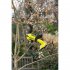 Аккумуляторный секатор Ryobi ONE+ RY18SCA-0