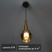 Светильник подвесной FR8008PL-01GB 1 лампа 2 м² цвет зеркально дымчатый