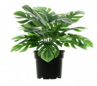 Искусственное растение в горшке монстера h30 см