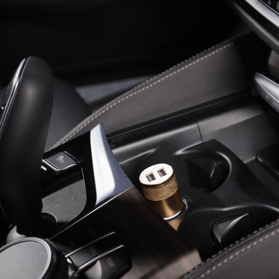 Зарядное устройство Rexant автомобильное 12 В 2xUSB (18-1199)