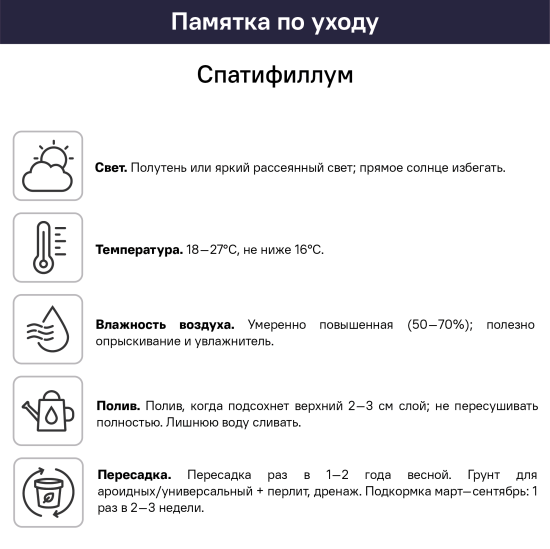 Спатифиллум сенсация ø24 h140 см Росток