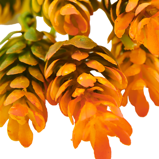 Ветка декоративная «Хмель» 40 см