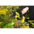 Аккумуляторный бесщеточный секатор Ryobi ONE+ RY18SCXA-0