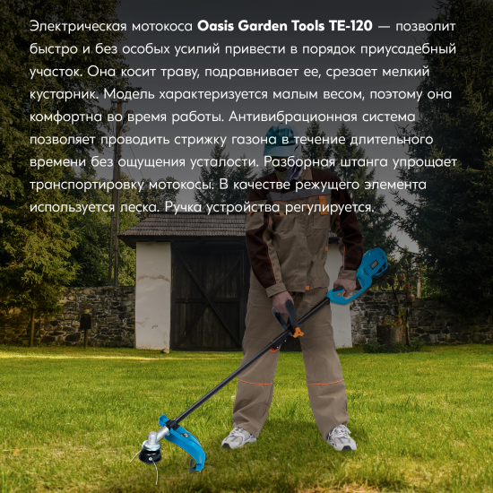 Мотокоса электрическая Oasis Garden Tools TE-120 1200 Вт