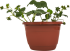 Земляника микс ø19 см