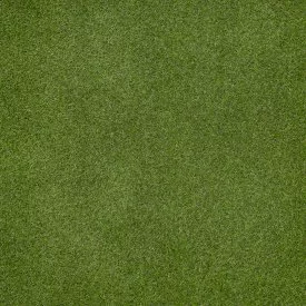 Искусственный газон «Grass» толщина 17 мм 1x2 м (рулон) цвет зеленый