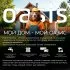 Газонокосилка бензиновая Oasis Garden Tools GB-15 4 л.с. 42 см