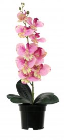 Искусственное растение в горшке орхидея h50 см цвет розовый
