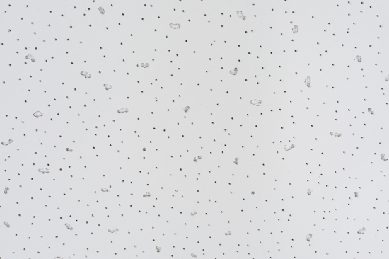 Набор потолочных плит Инженер-Строитель 6 мм 600x600 мм цвет белый 24 шт. (8.64 м²)