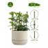 Опора для растений Garden Show круглая металл 250 мм (466333)