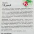 Редис 18 дней Детская грядка 0,5 г